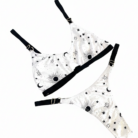 ANABEL BLANCO UNIVERSO